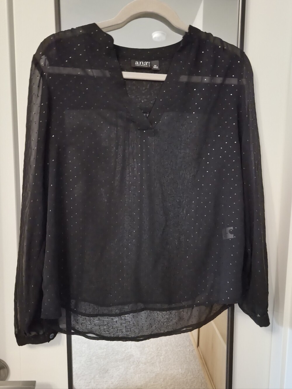 Sheer A.n.a Long Sleeve Blouse